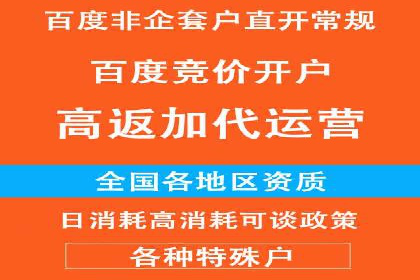 百度竞价排名服务：成功案例解析与优化策略